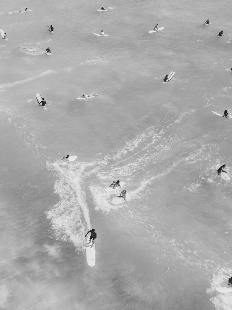 Surfers In The Ocean