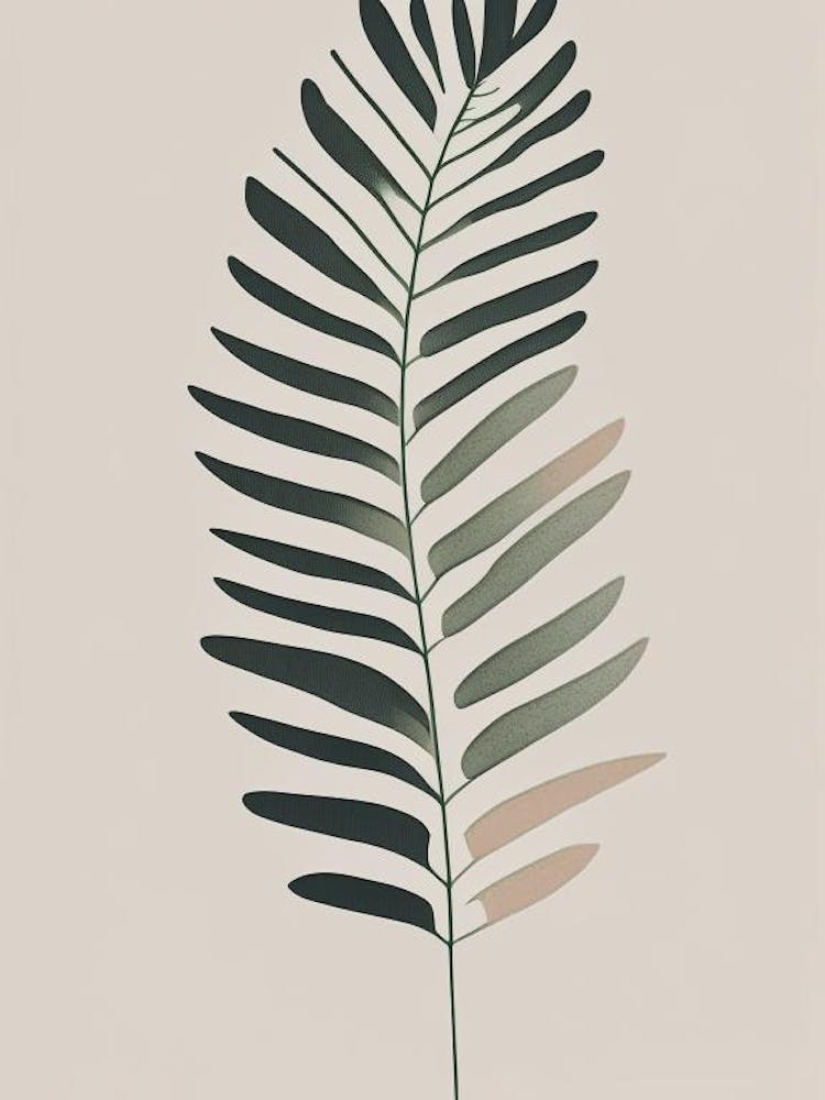 Southern Shield Fern Simplicity