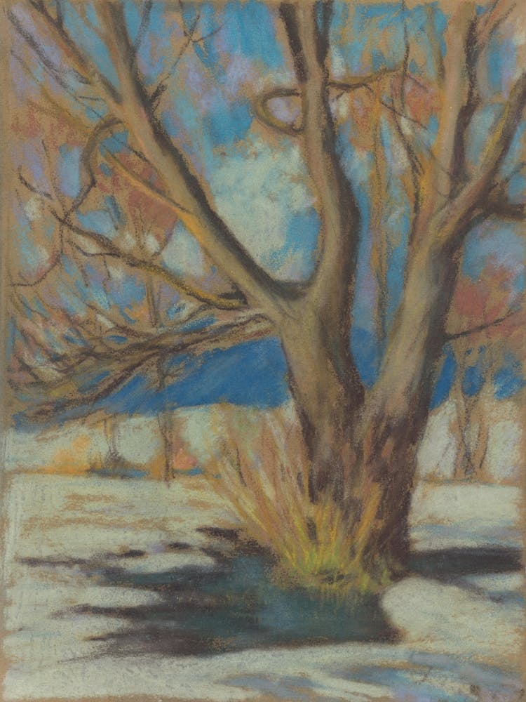 Bare Tree In Snow