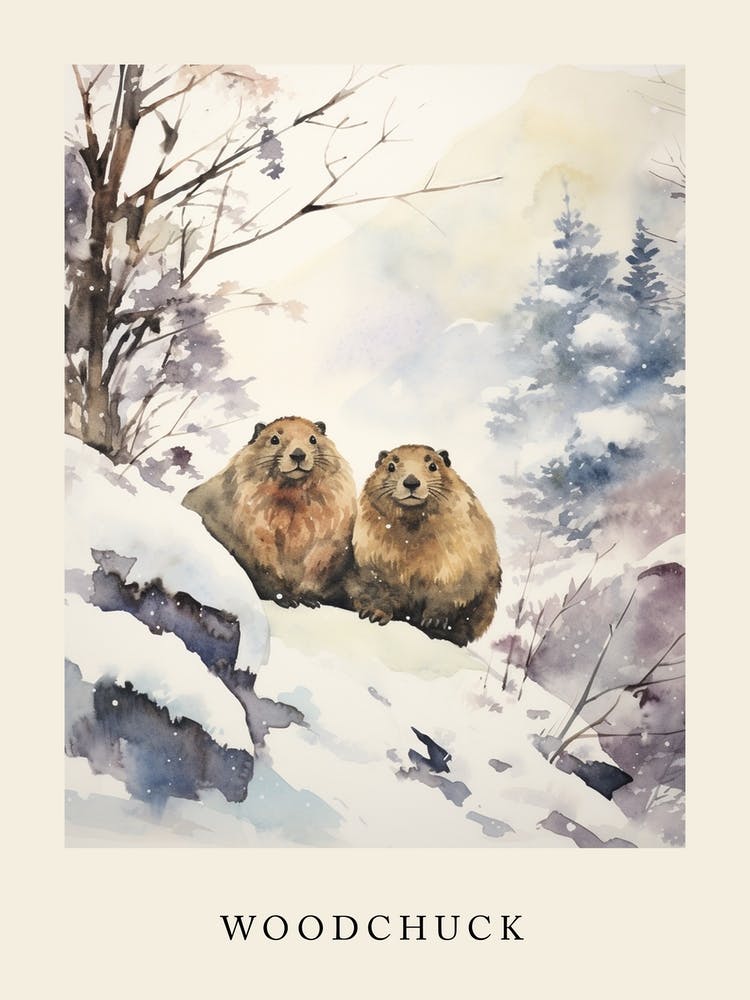 Winter Watercolour Woodchuck 2 Poster