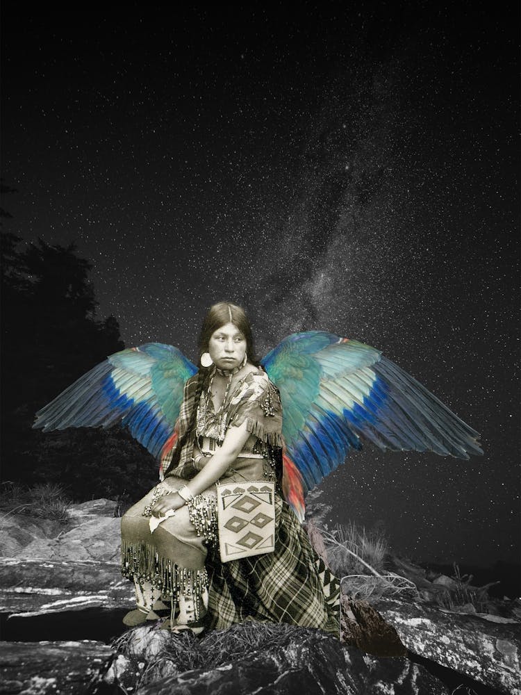 The Dream Of Simply Flying Away