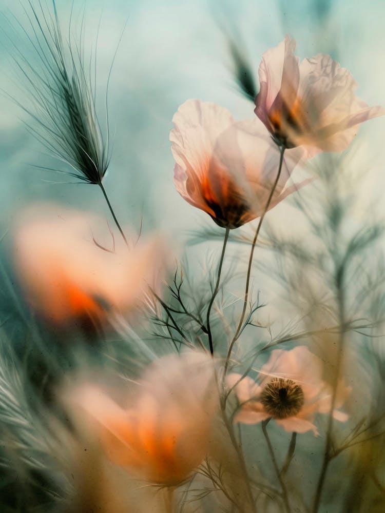 Florale Fusion Nr. 4