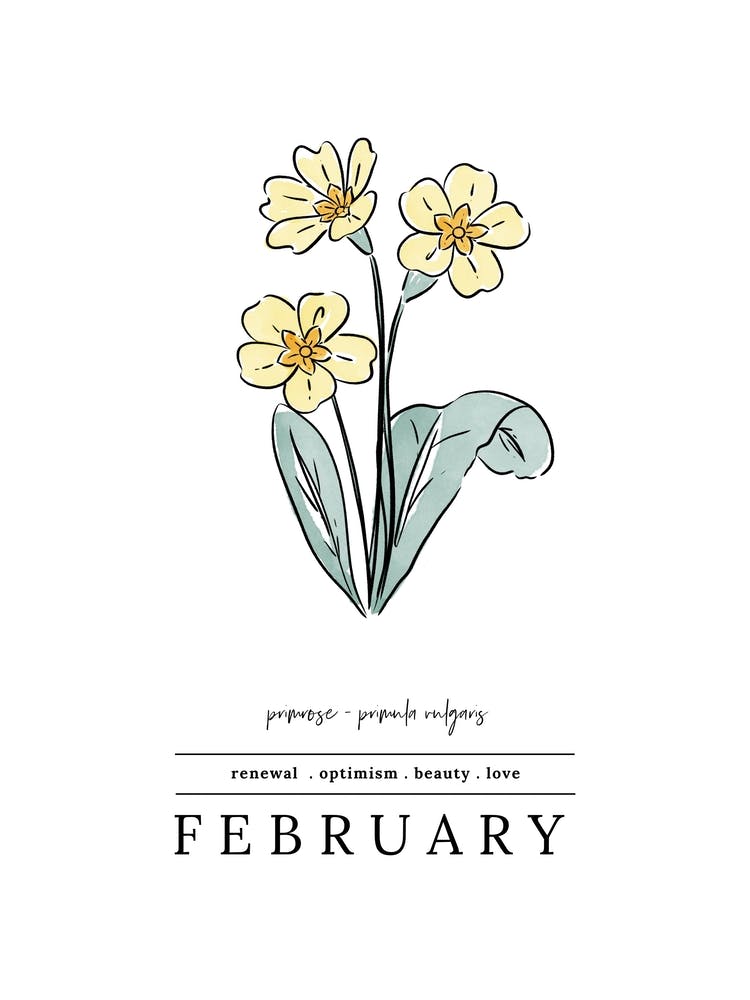 February Primrose Birth Flower 2