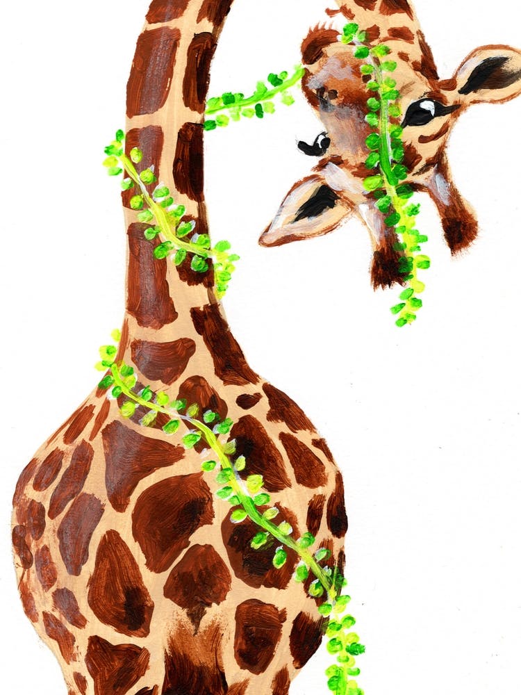 Giraffe With Plant