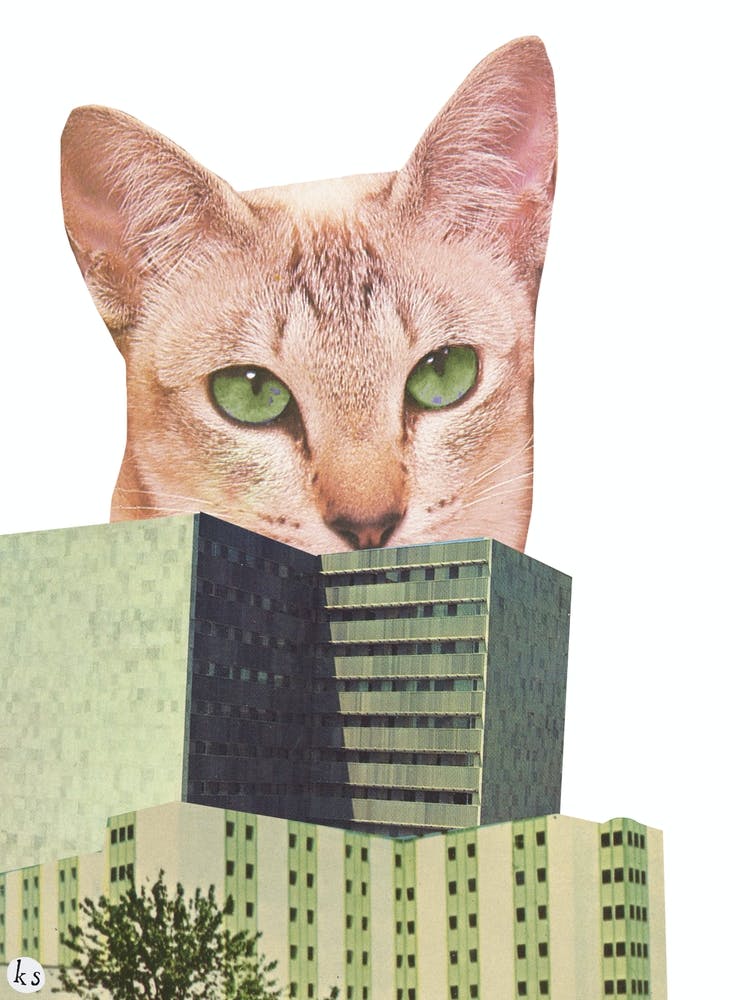 Giant City Cat Collage 