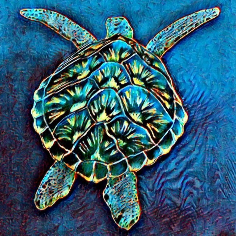 Sea Turtle Silk Painting