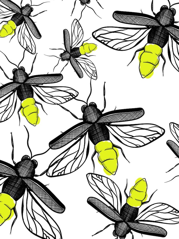 Summer Fireflies