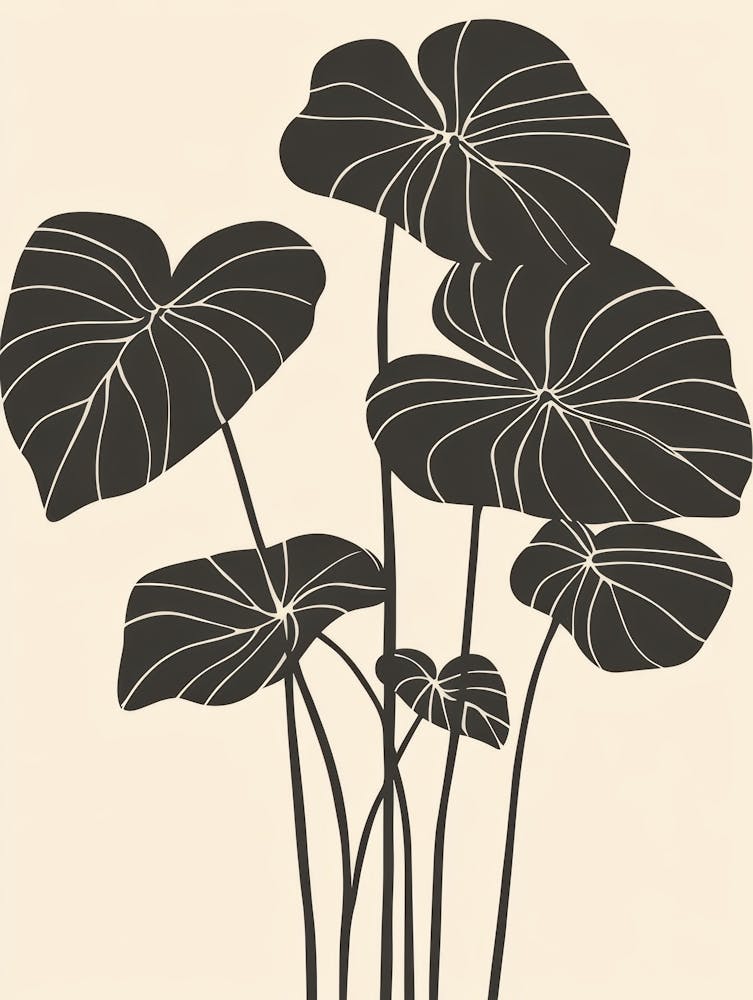 Lily Of The Valley 101