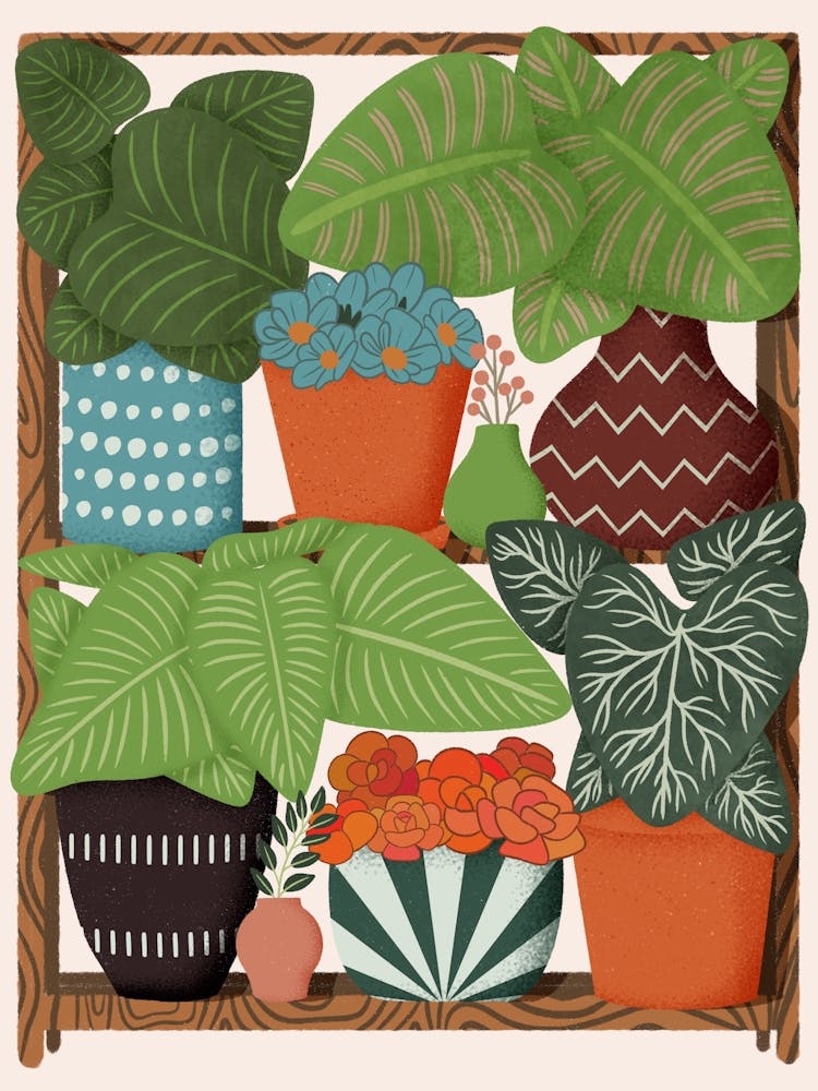 Plants