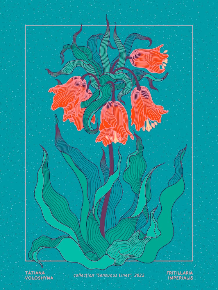 Fritillaria Imperialis