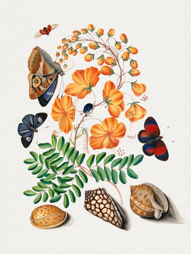 Beatles, James Bolton