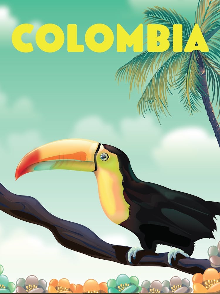 Toucan In Colombia