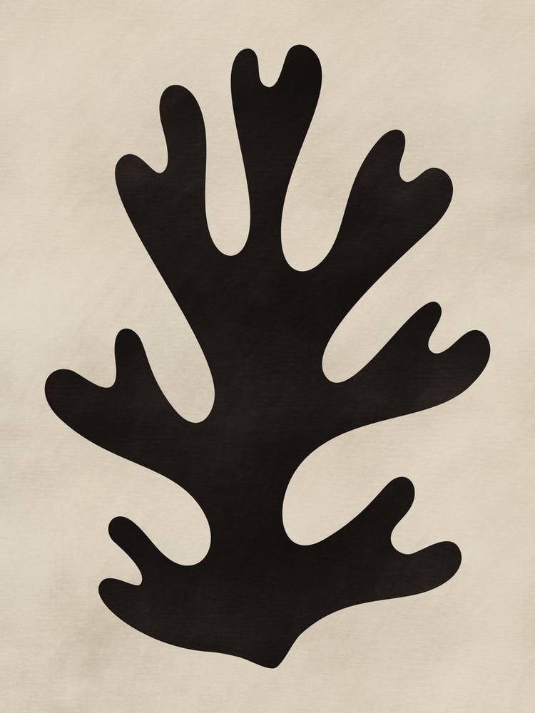 Minimal Black Coral