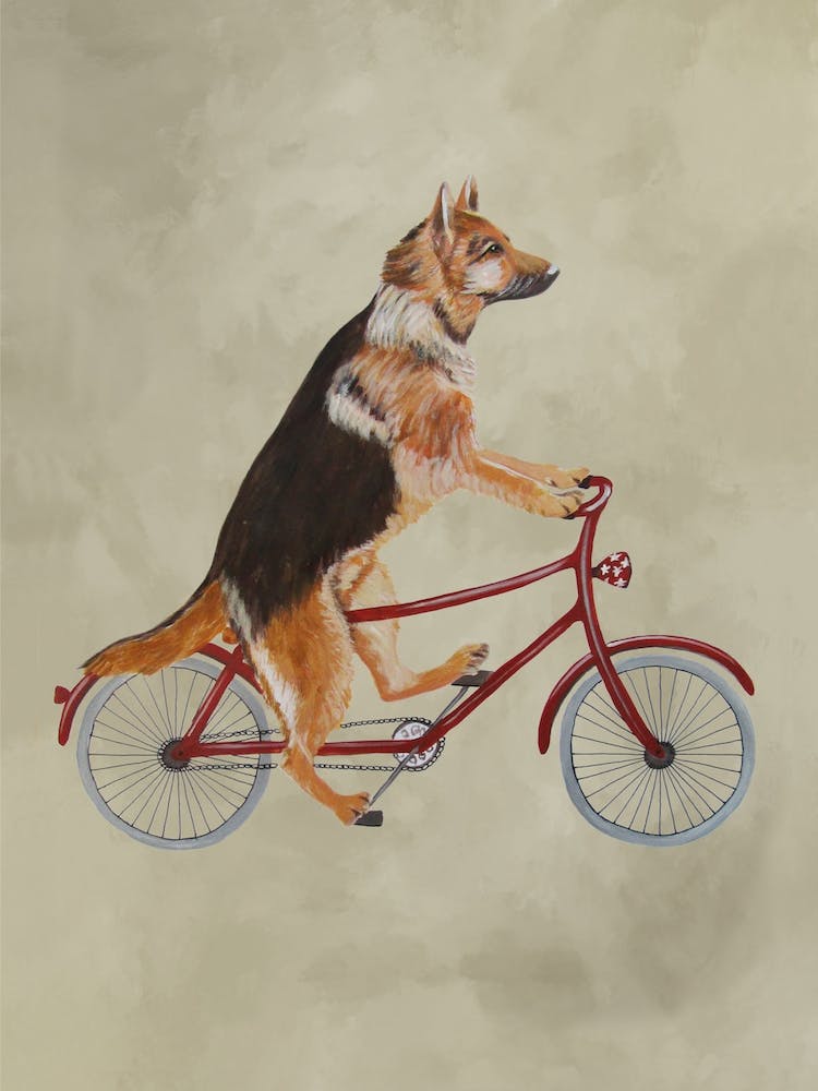 German Shepherd On Bicycle