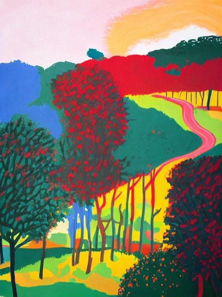 Addo Elephant National Park South Africa Abstract Colourful