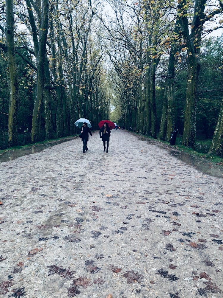 Walk In The Park