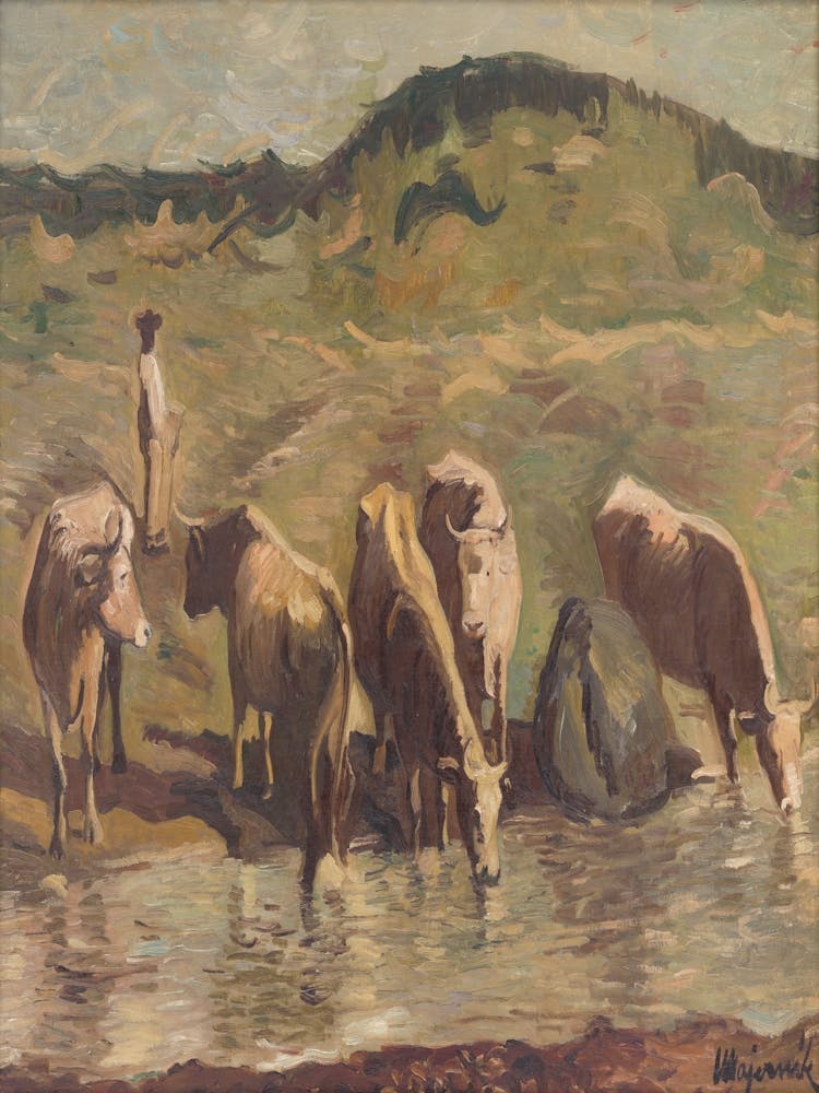 Cows Drinking Water