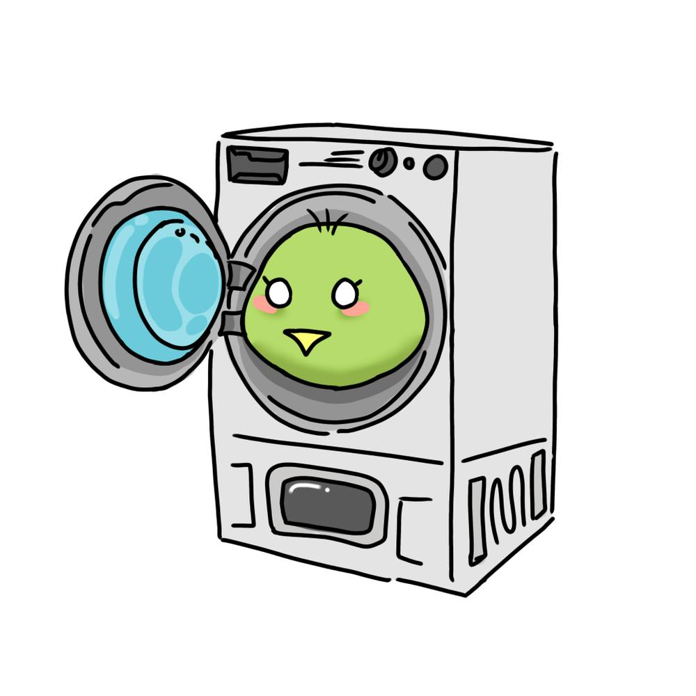 Washing machine bird