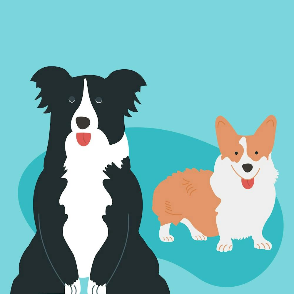 Dog Buddies 1
