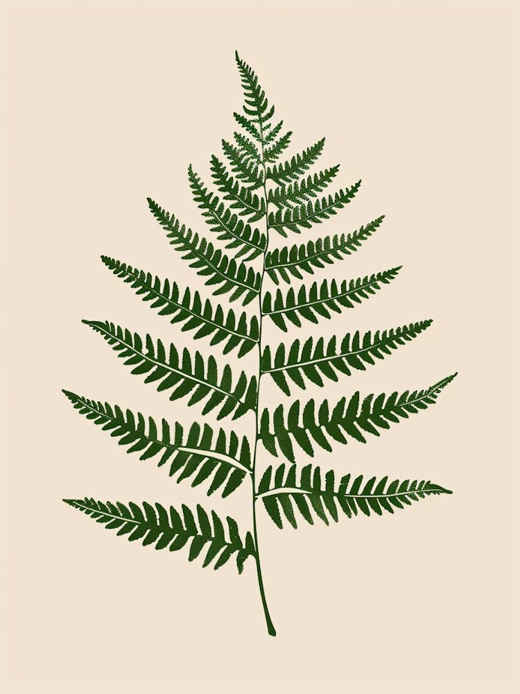 Fern Plant Minimalist Illustration 7