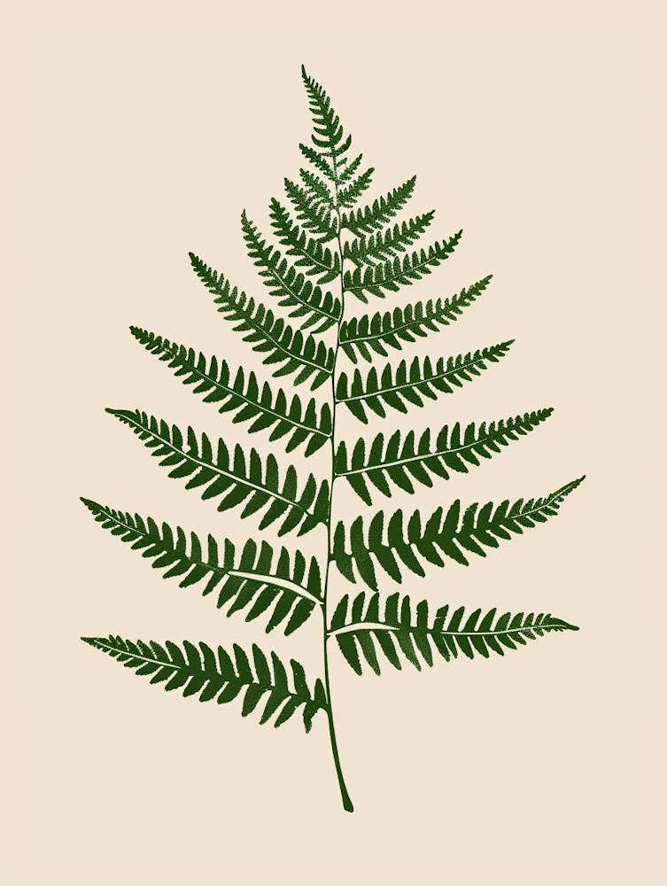 Fern Plant Minimalist Illustration 7