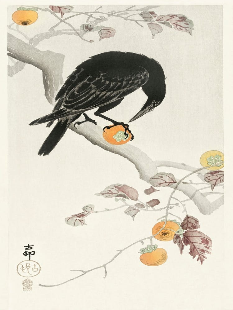 Crow With Kaki Fruit (1900 1910), Ohara Koson