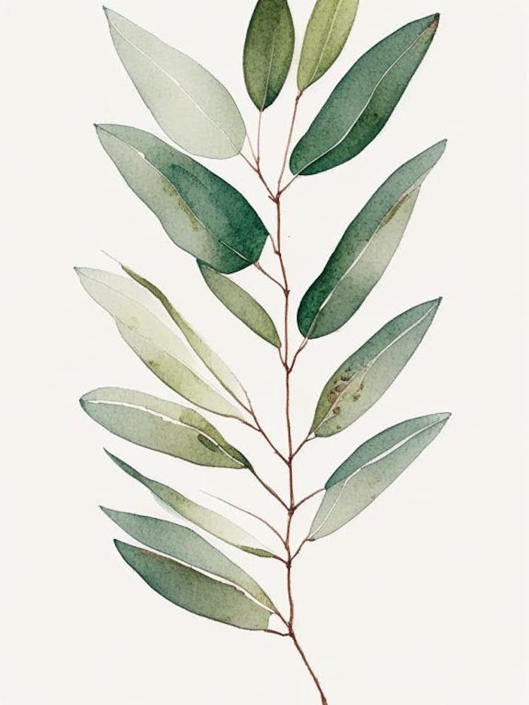 Wax Myrtle Leaf Minimalist Watercolour 2