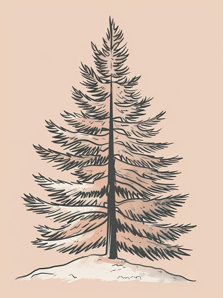Fir Tree Minimalistic Drawing 4