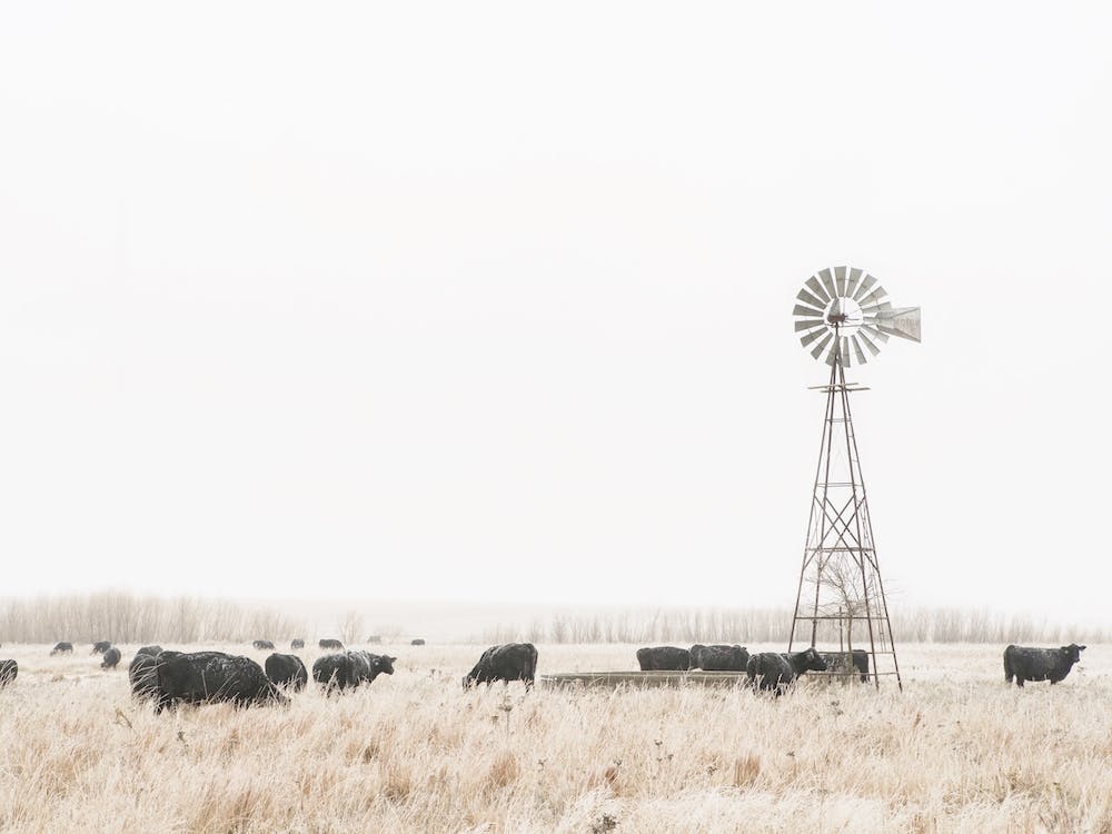 Midwest Ranch Windmill