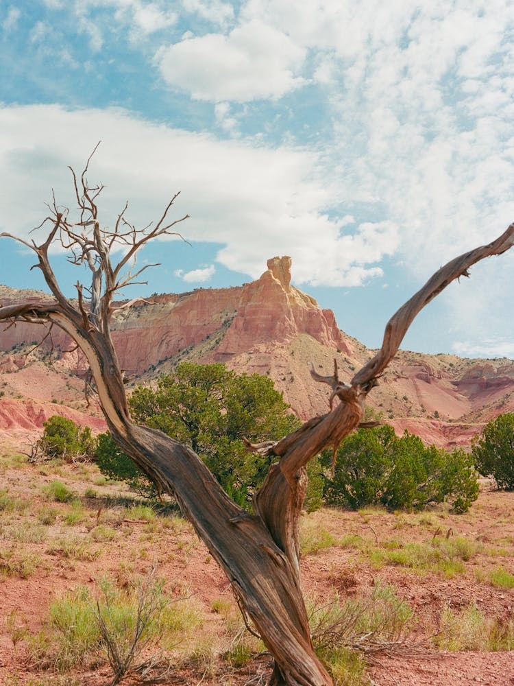 Ghost Ranch VI on Film