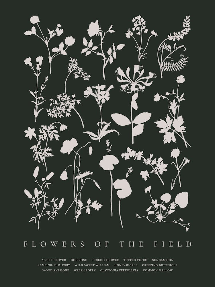 Flowers Of The Field, flower silhouettes.