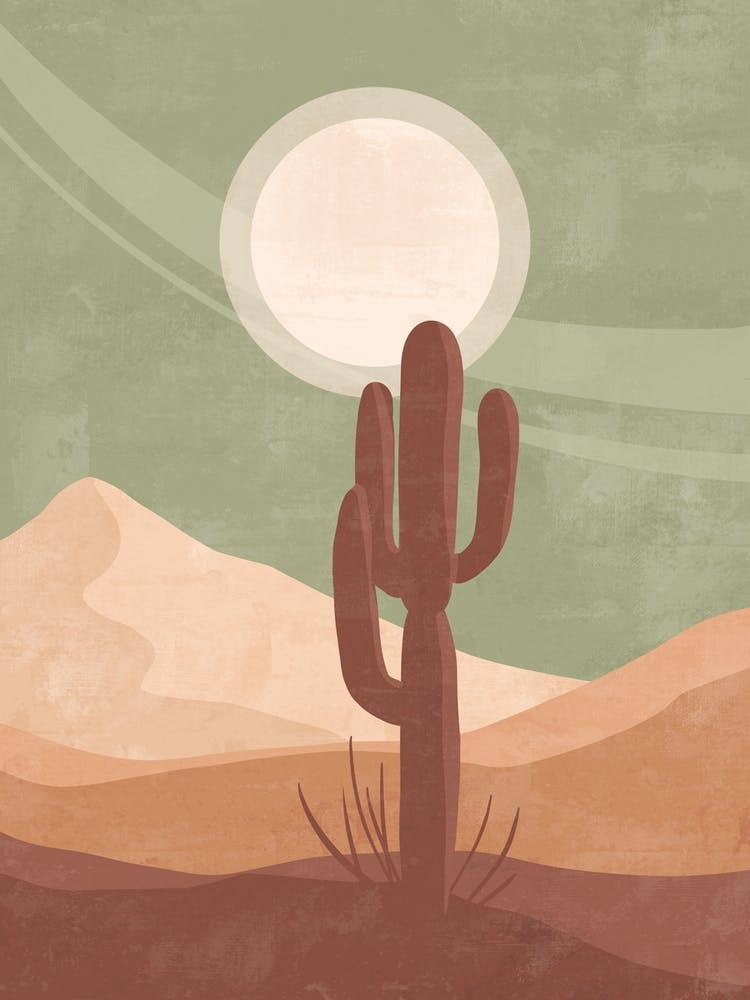 Cactus In The Desert 34