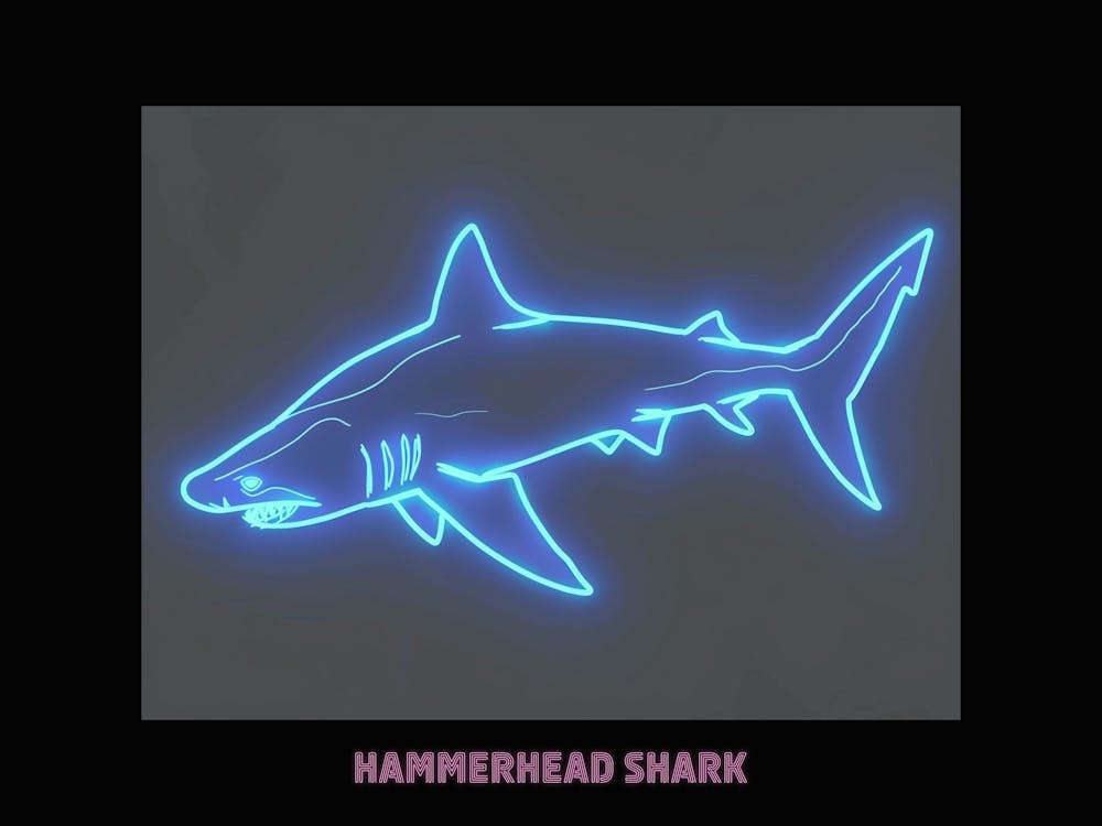 Pink Aqua Hammerhead Shark Poster 6