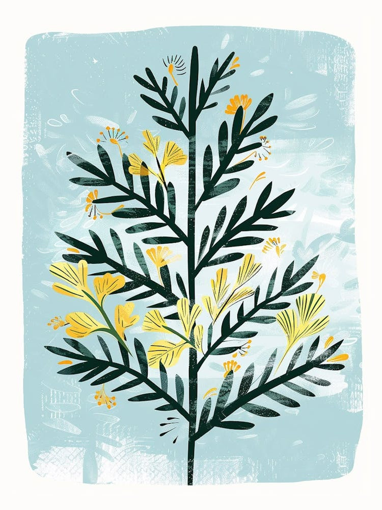 Douglas Fir Tree Illustration Flat 8