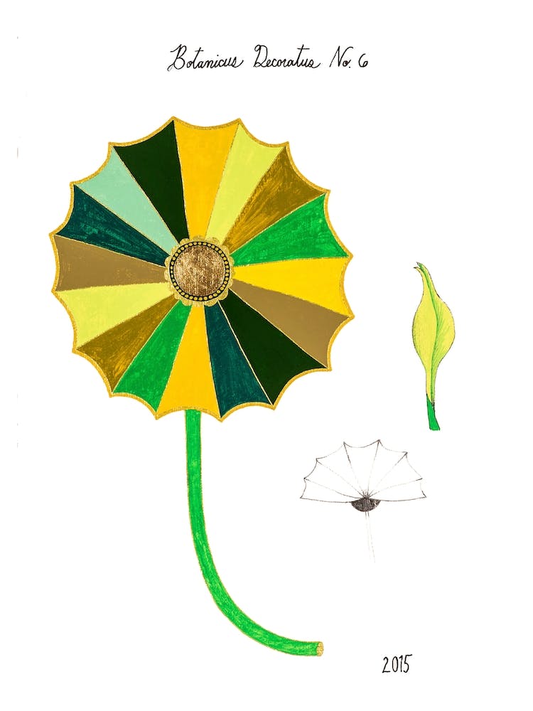 Botanicus Decoratus 6