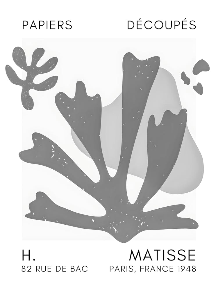 H Matisse 20