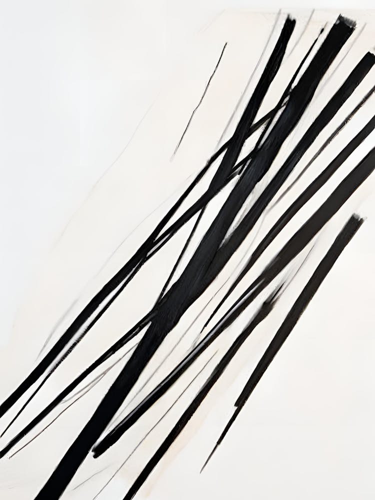 'Noir Et Blanc'