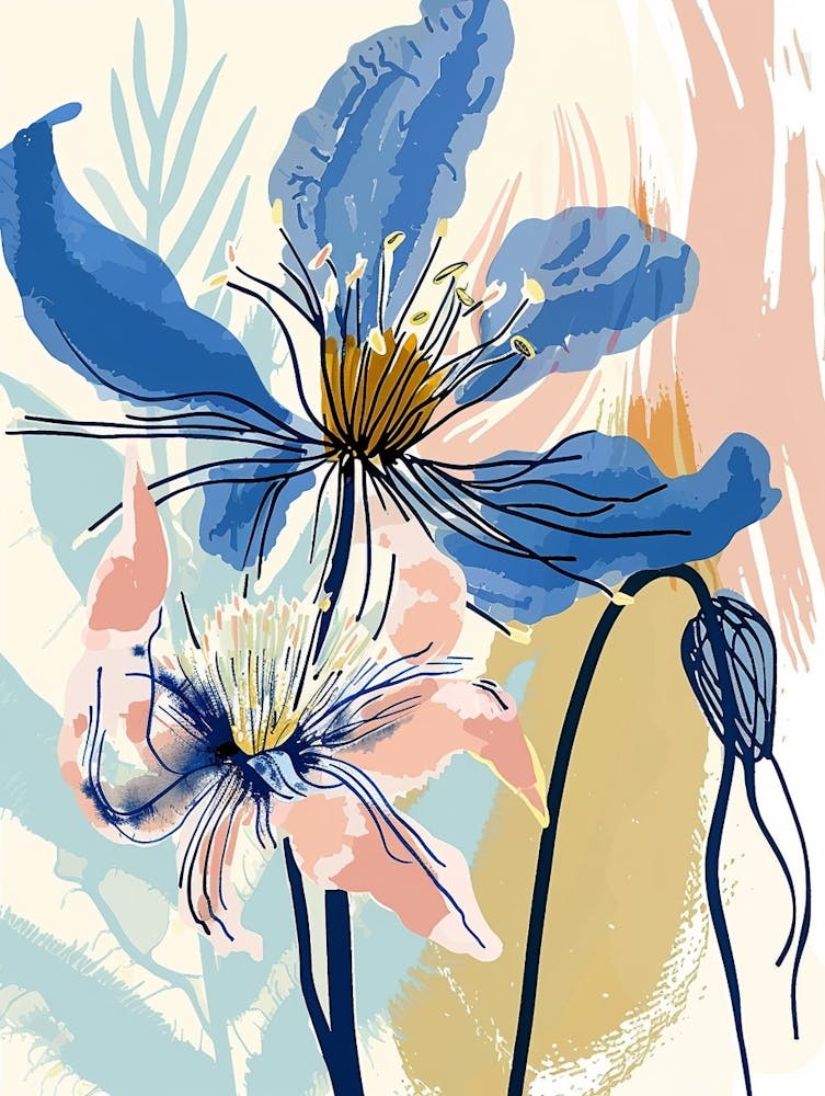 Colourful Flower Illustration Nigella Love In A Mist 2