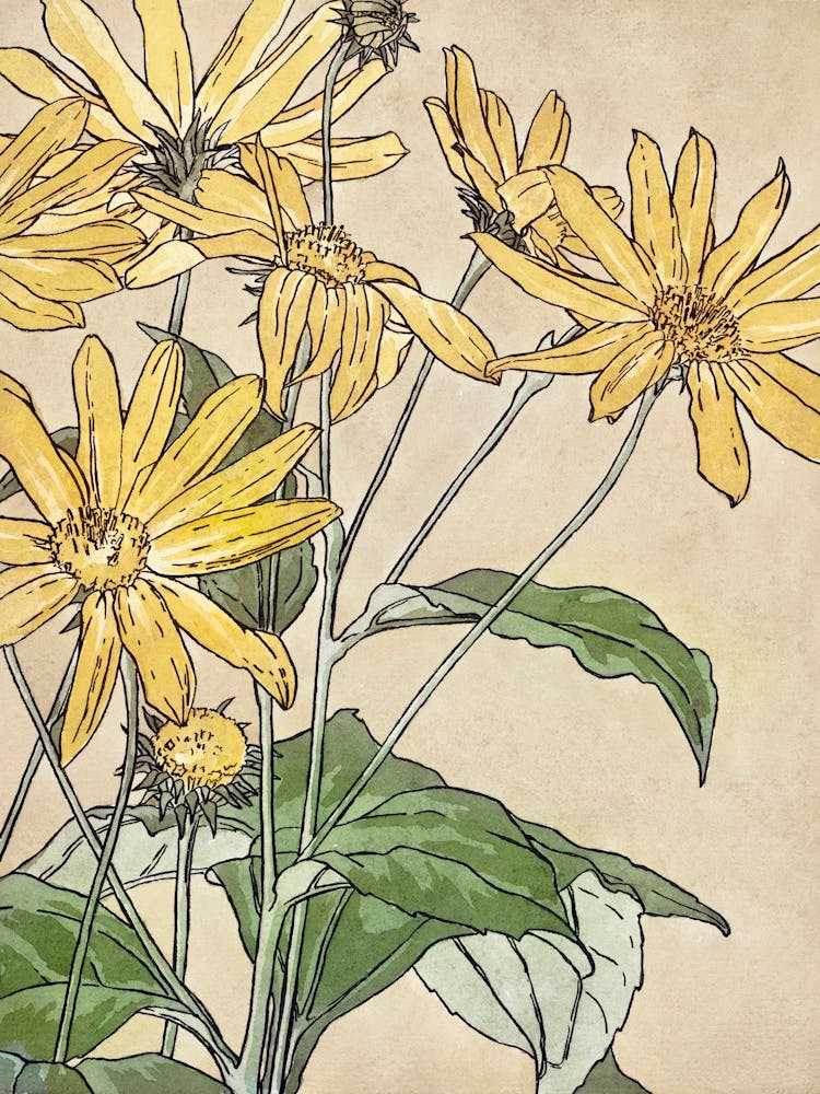 Yellow Flowers, Vintage Floral