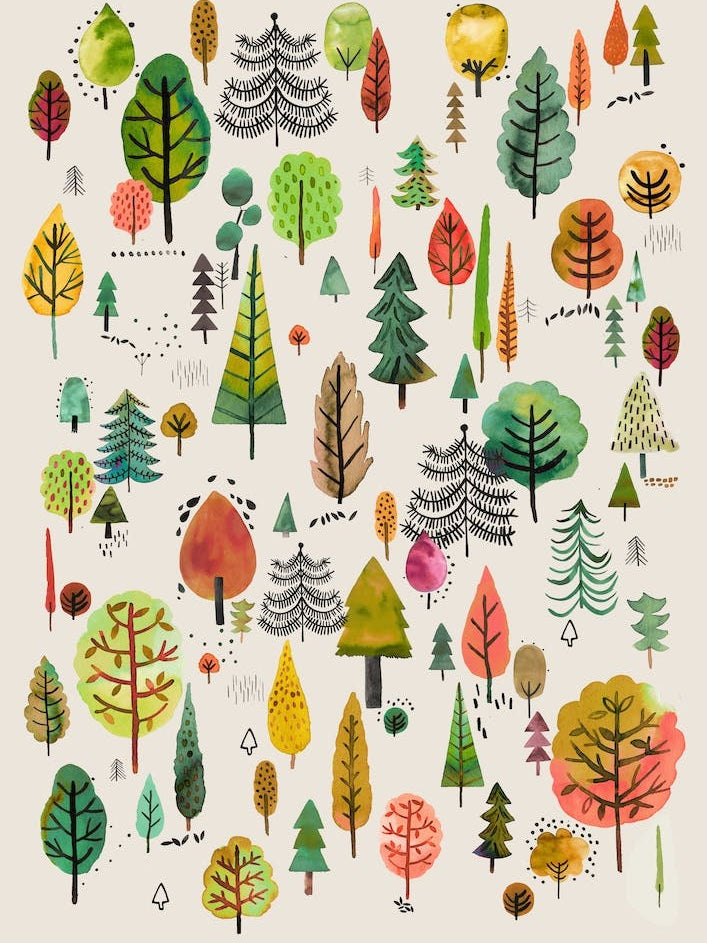 Colorful Park Trees Orange Green