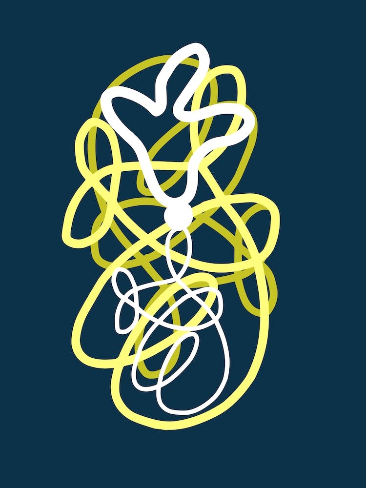 The Complex Life Of Flowers 2