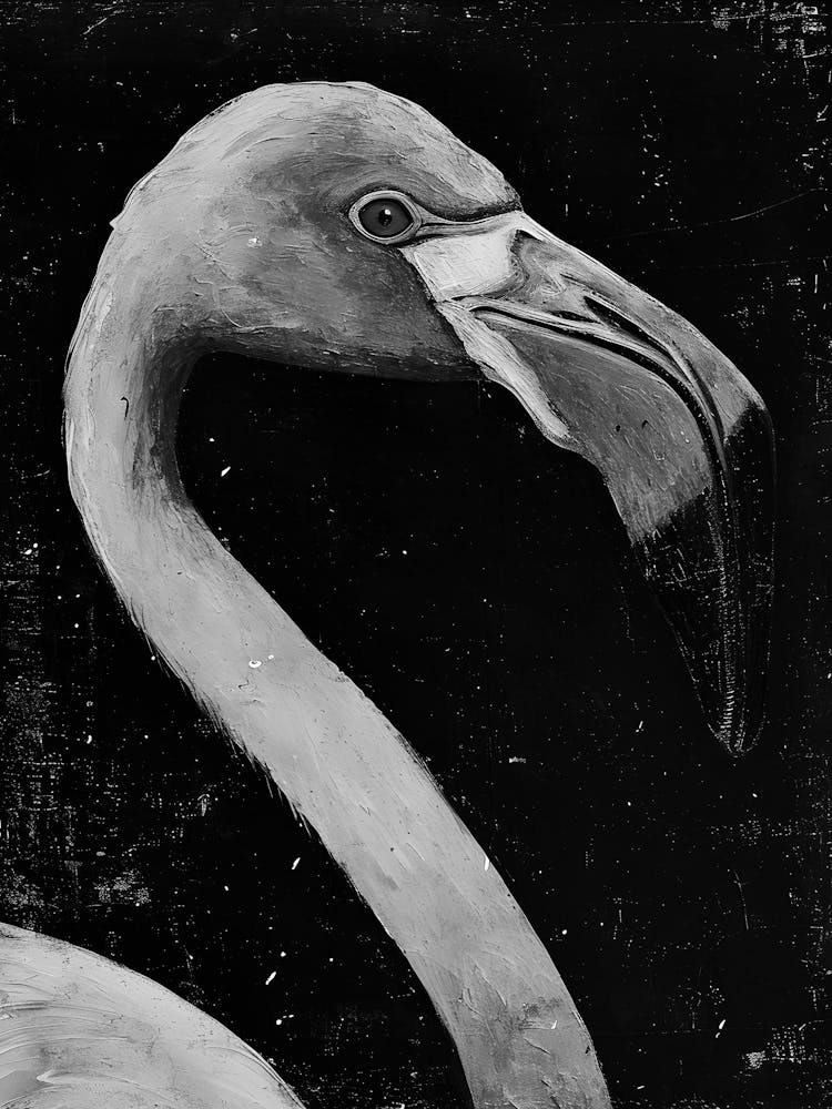 Flamingo 2