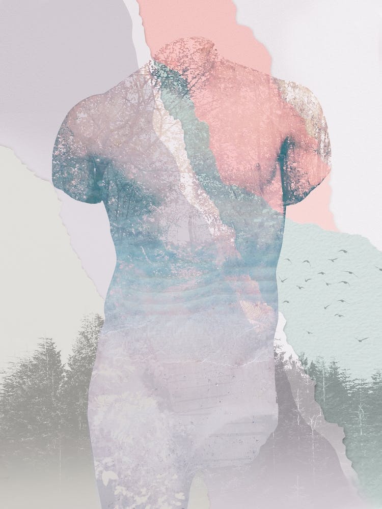 Woodland Collage