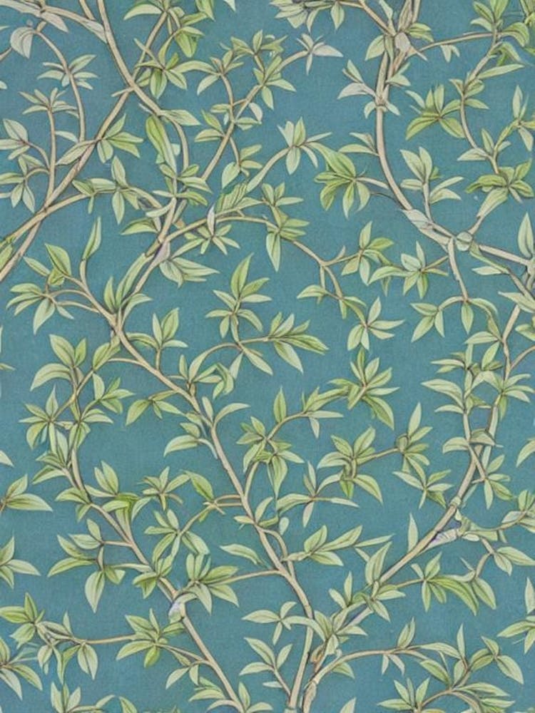 Jujube Vintage Botanical Fruit