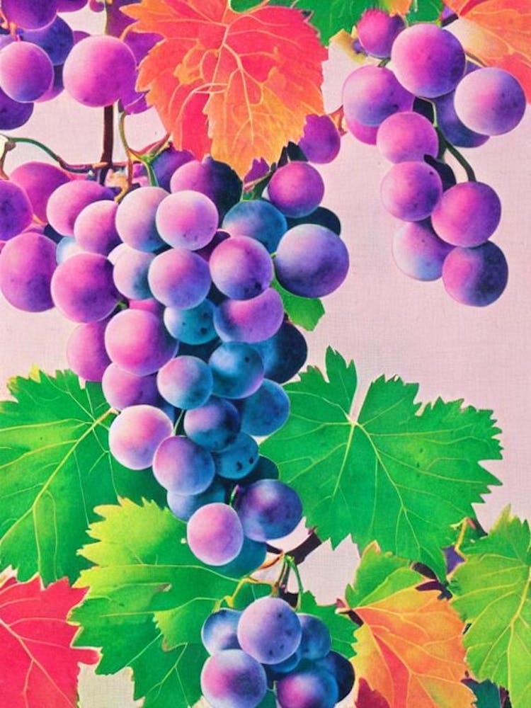Grapes Risograph Retro Poster Fruit