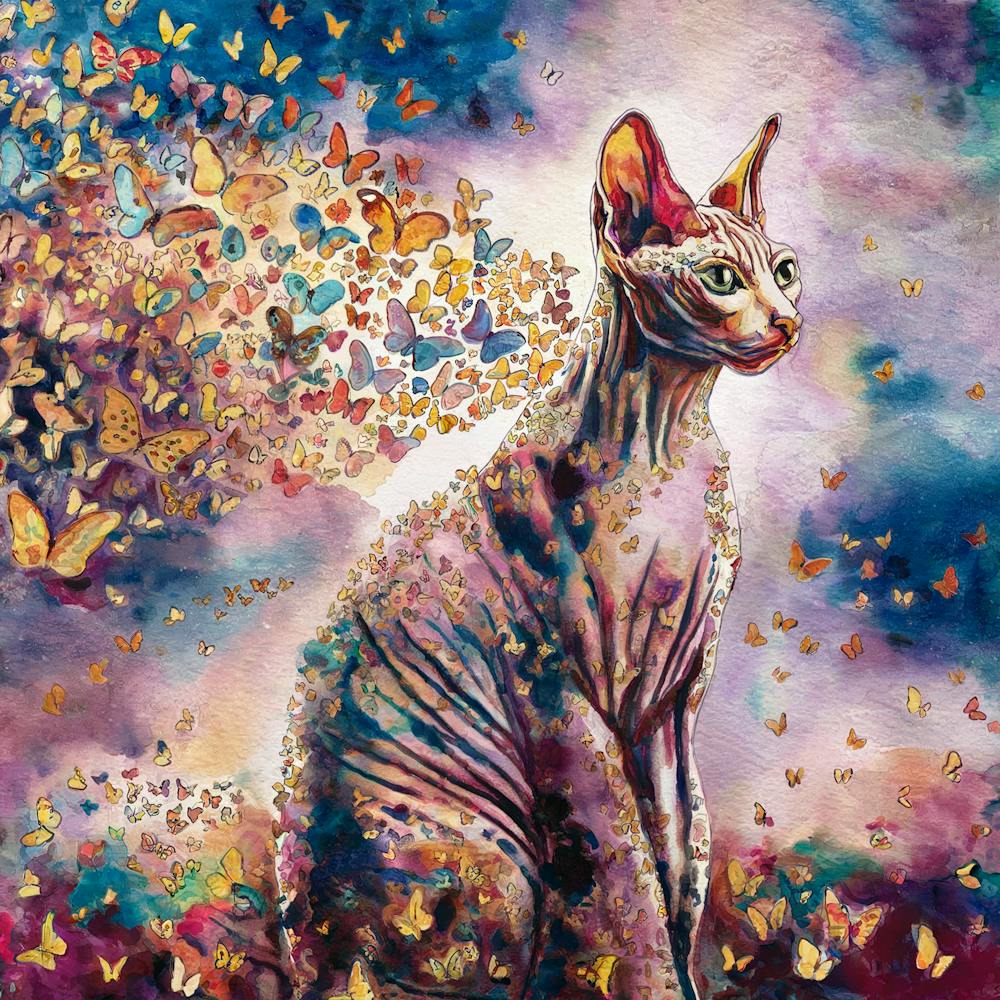 Butterfly Cat 8
