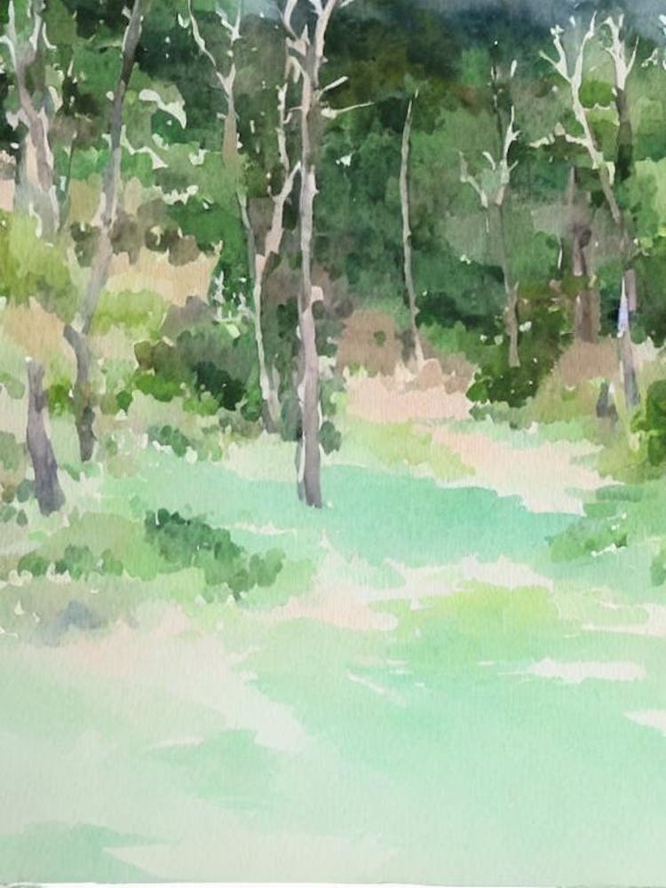 Amboró National Park Bolivia Water Colour Poster