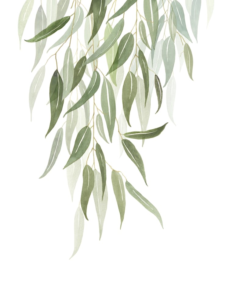 Watercolor Botanical Art 02