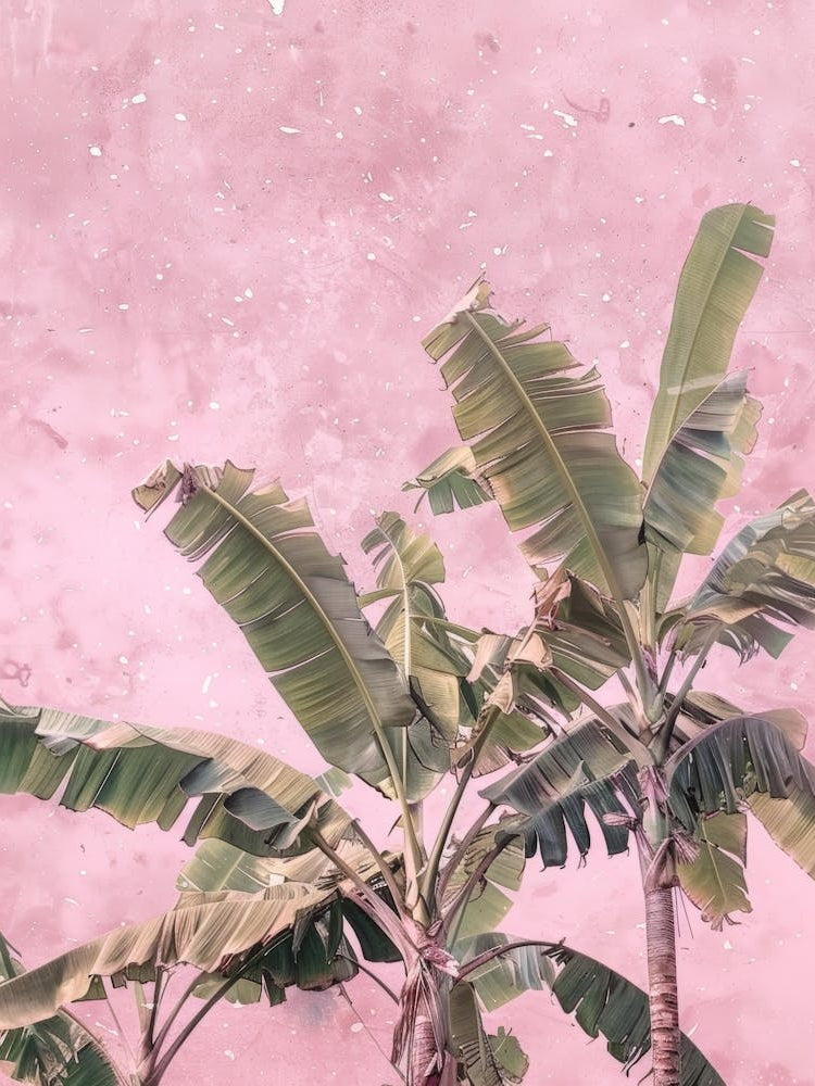 Banana Trees On A Pink Wall