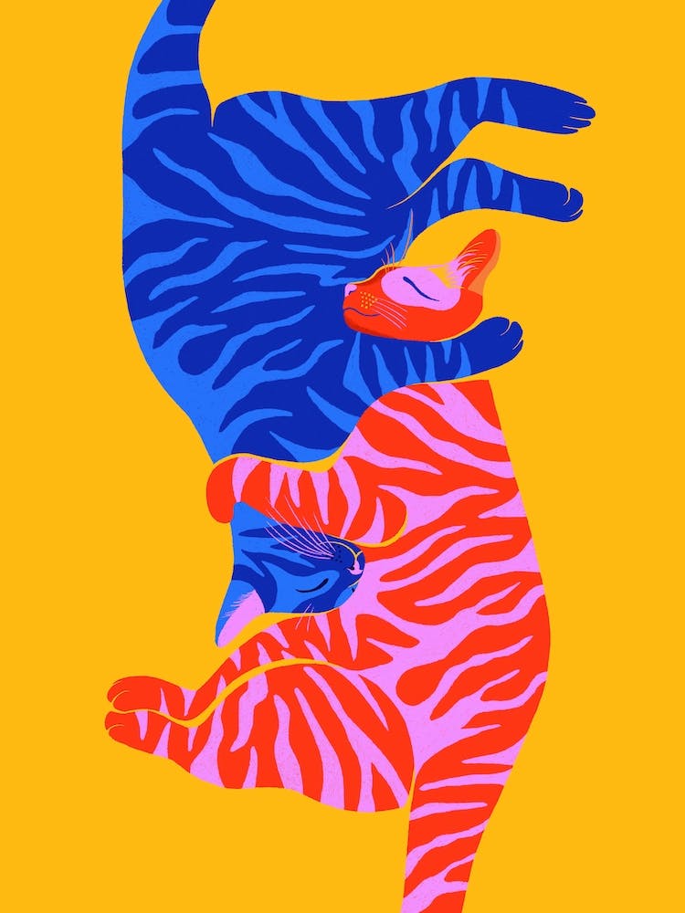 Cuddling Cats